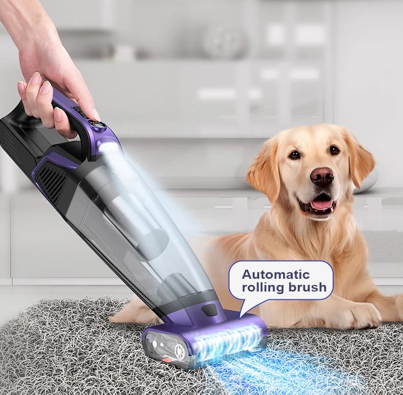 VC038S Powered roller brush cleaning a carpet beside a dog